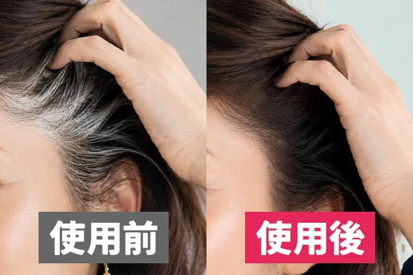 使用前後イメージ