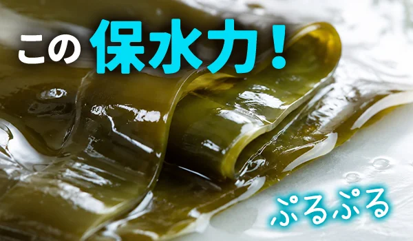 この保水力!ぷるぷる